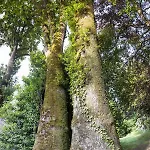 Le Domaine De Langlardie * Soudat