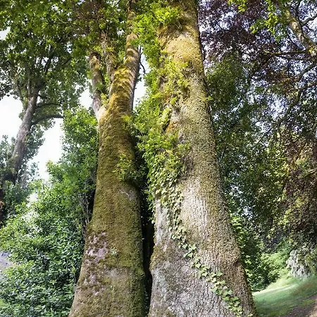 Le Domaine De Langlardie * Soudat