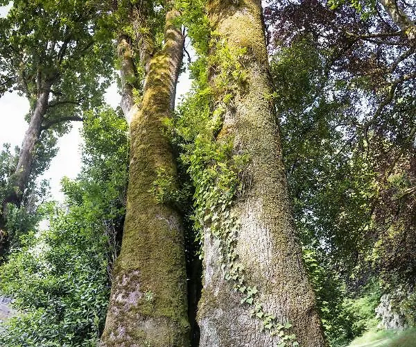 Le Domaine De Langlardie * Soudat